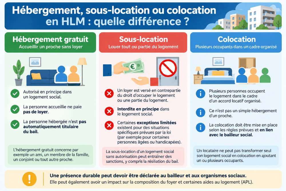 Infographie comparant l’hébergement gratuit, la sous-location et la colocation en logement social